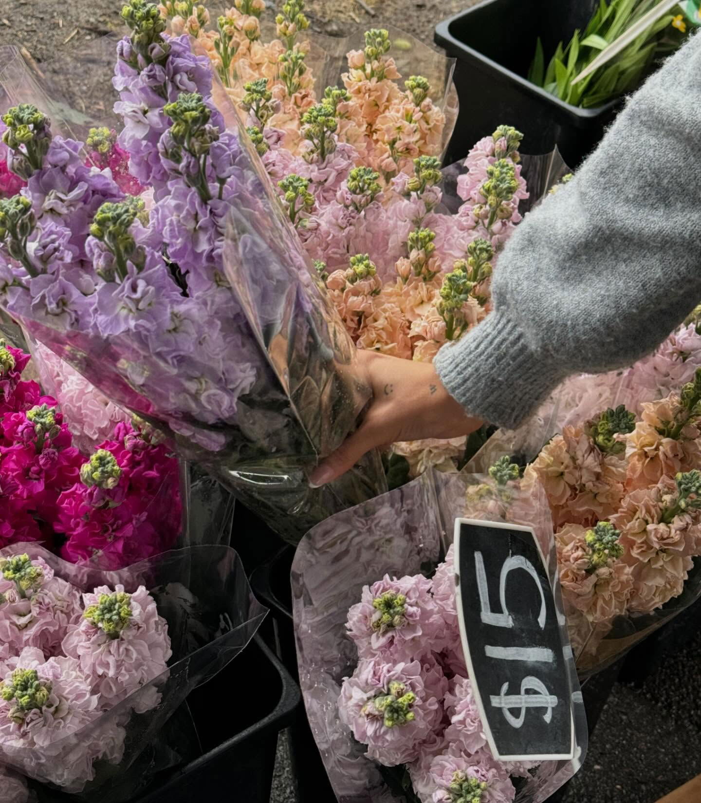 allygravemade instagram image archive image