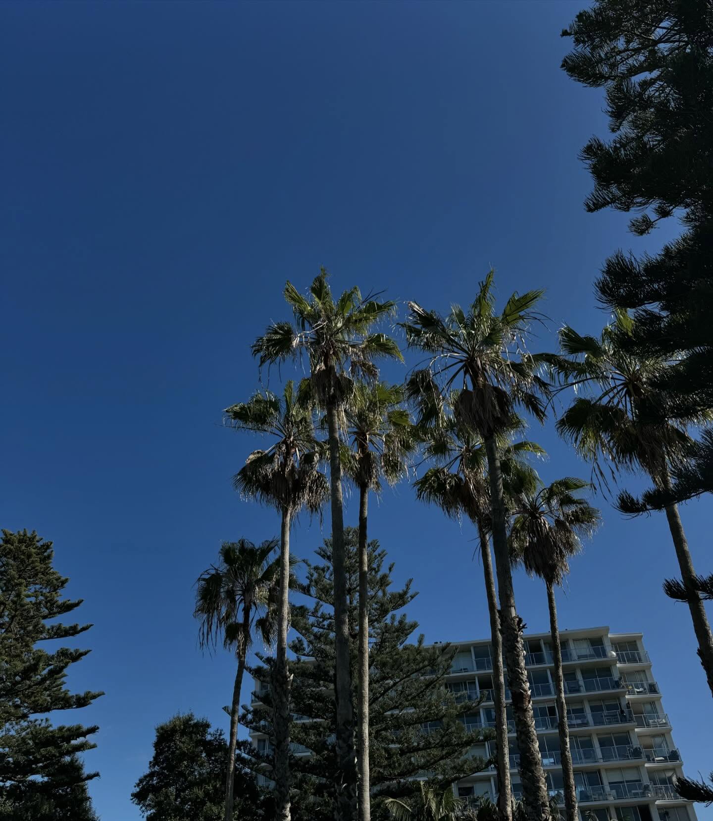 allygravemade instagram image archive image