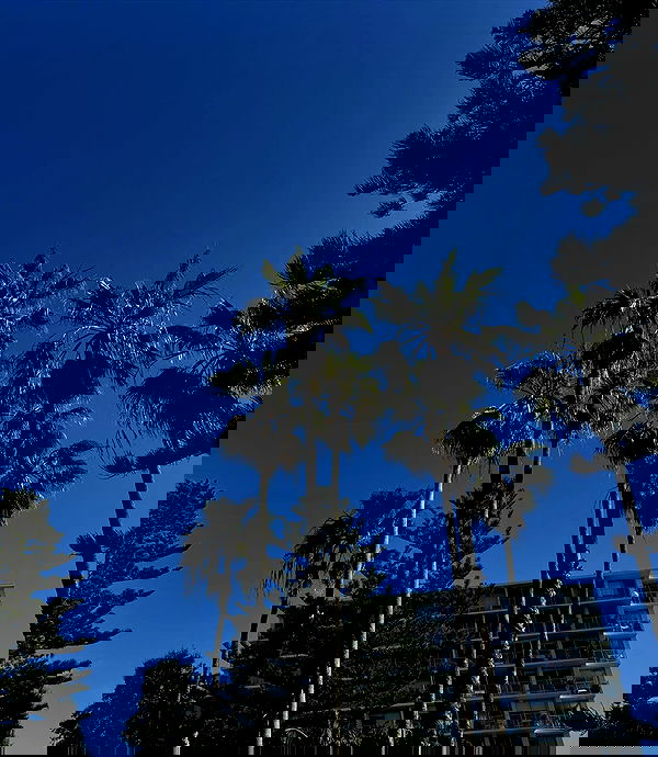 allygravemade image ~ Altpins