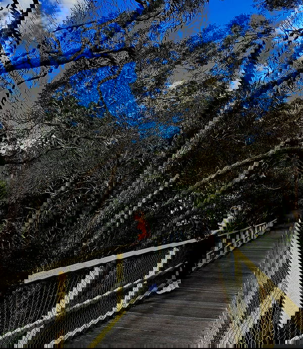 allygravemade image ~ Altpins