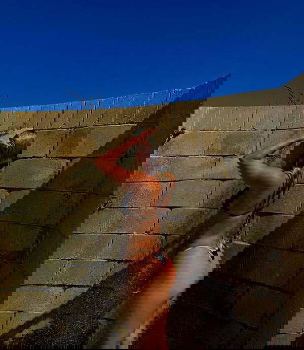 allygravemade image ~ Altpins