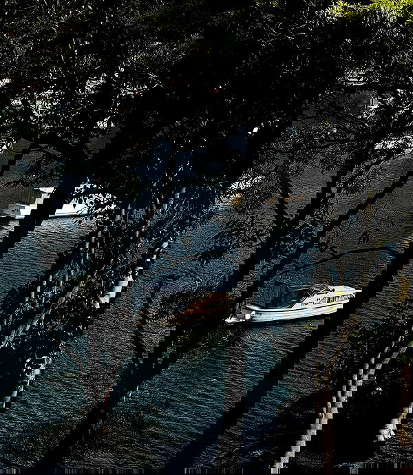 allygravemade image ~ Altpins