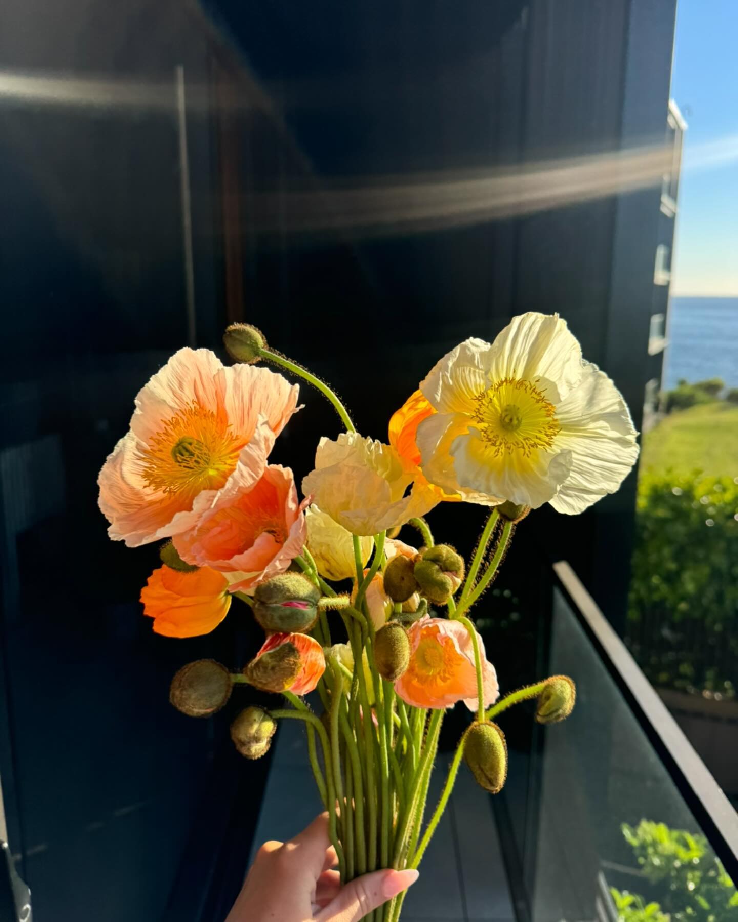 allygravemade instagram image archive image