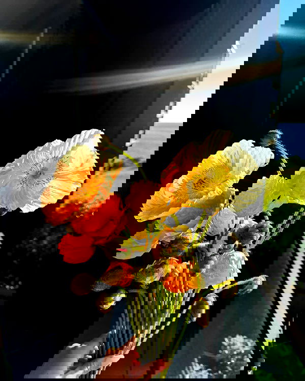 allygravemade image ~ Altpins