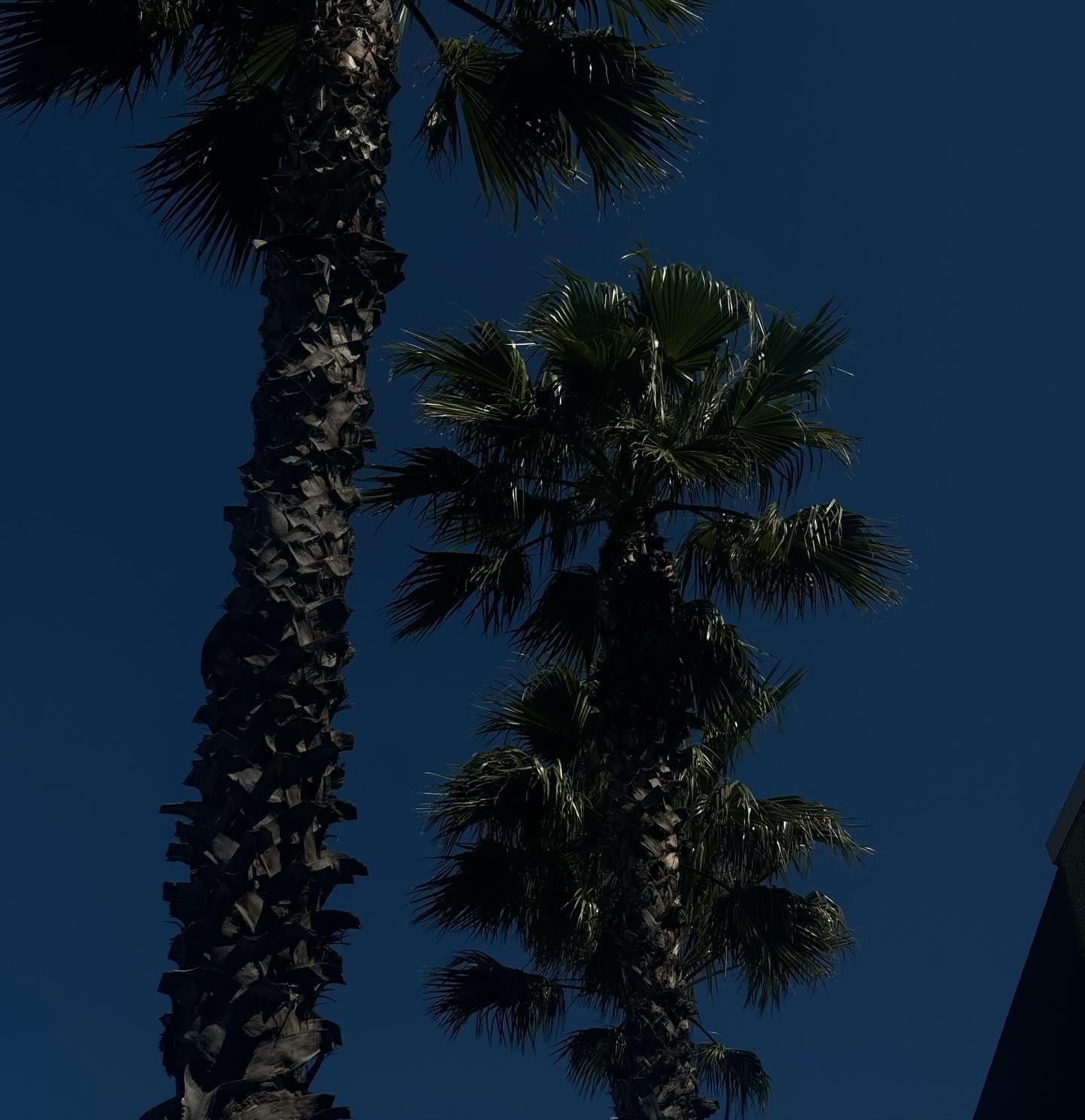 allygravemade instagram image archive image