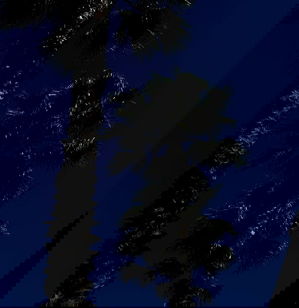 allygravemade image ~ Altpins