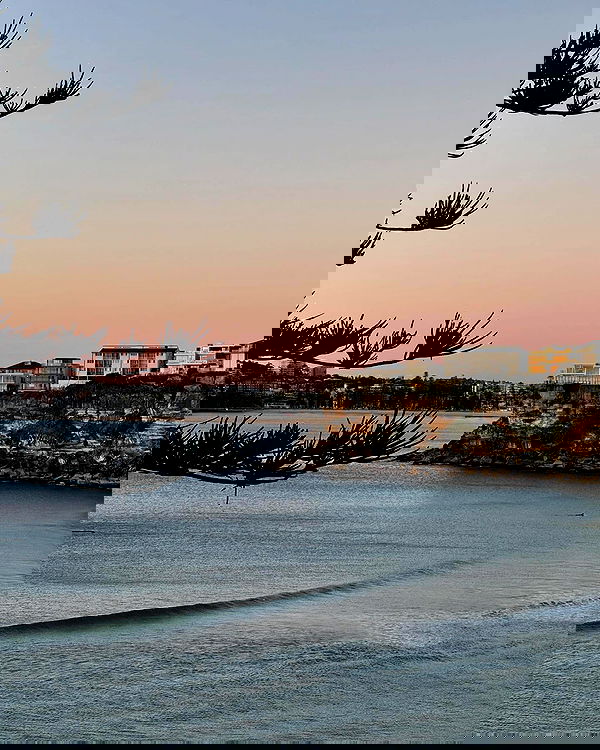 allygravemade image ~ Altpins