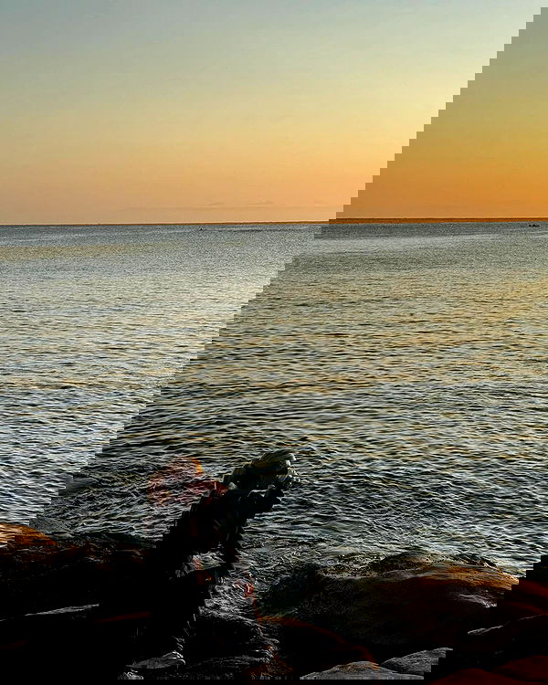 allygravemade image ~ Altpins