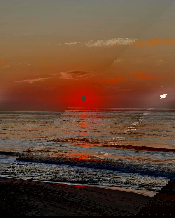 allygravemade image ~ Altpins