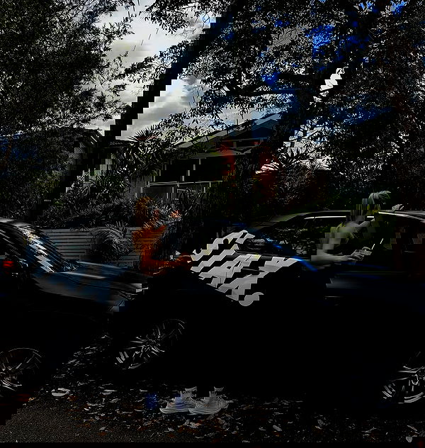 allygravemade image ~ Altpins