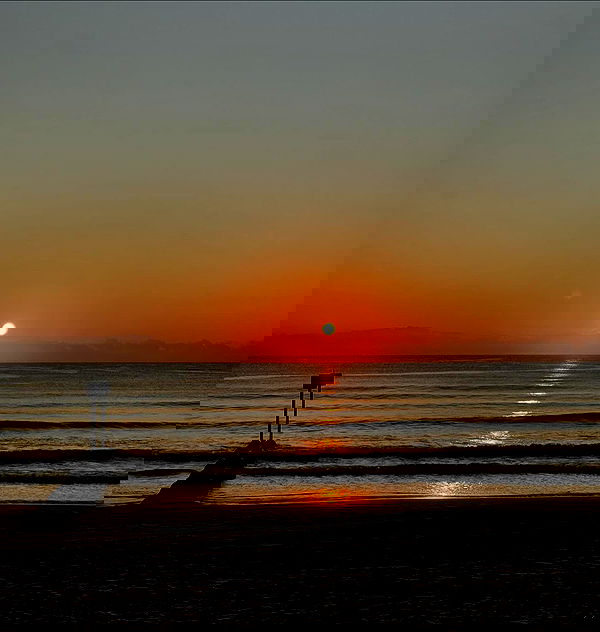 allygravemade image ~ Altpins