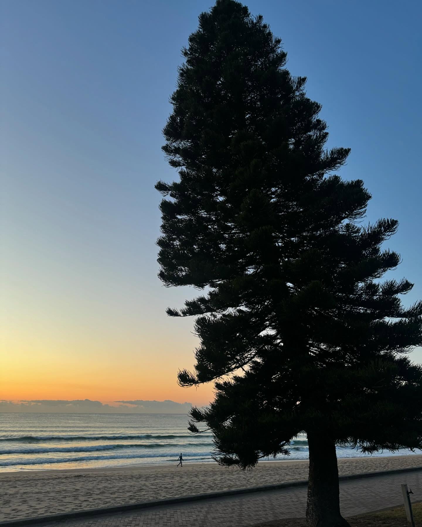 allygravemade instagram image archive image