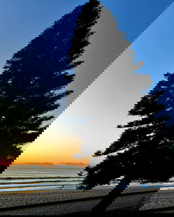 allygravemade image ~ Altpins