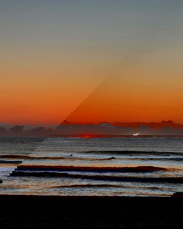 allygravemade image ~ Altpins