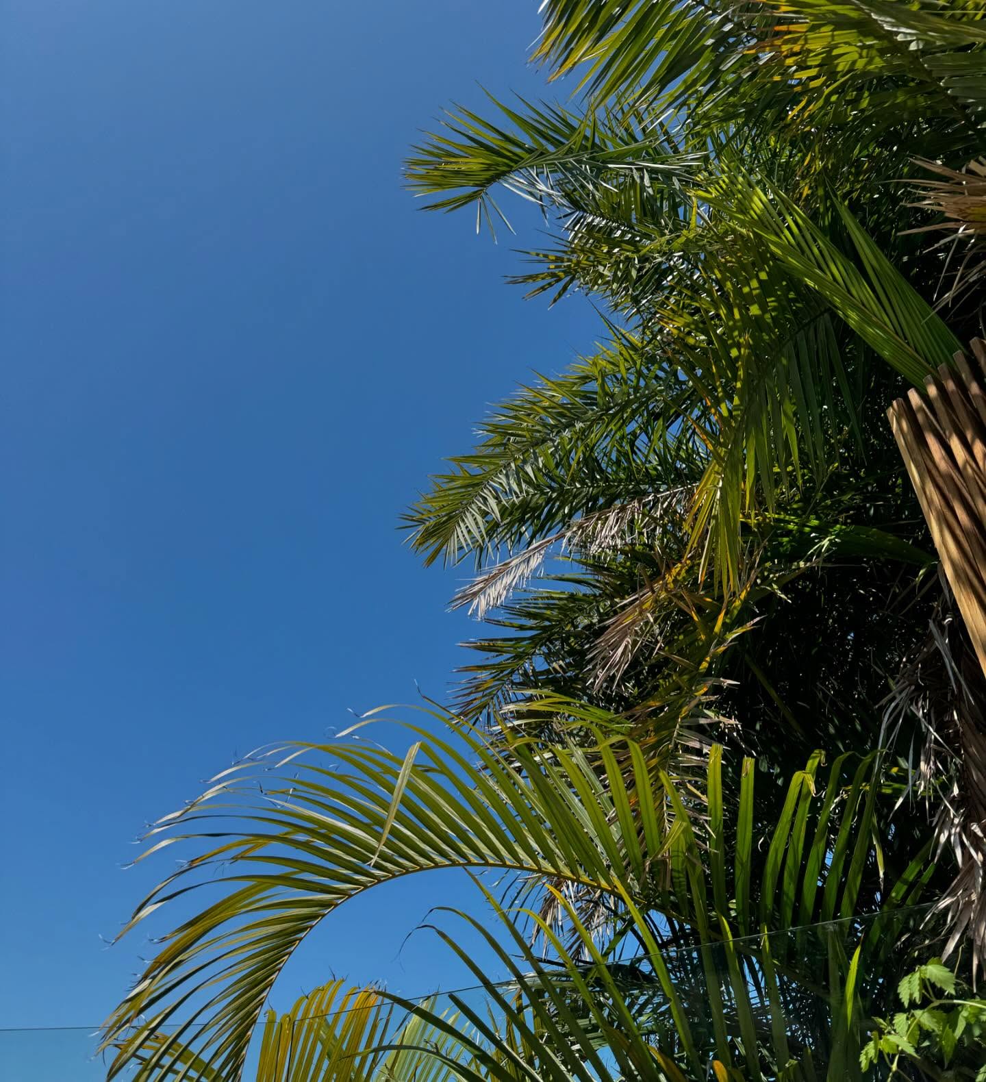 allygravemade instagram image archive image