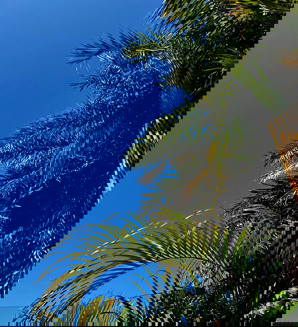 allygravemade image ~ Altpins