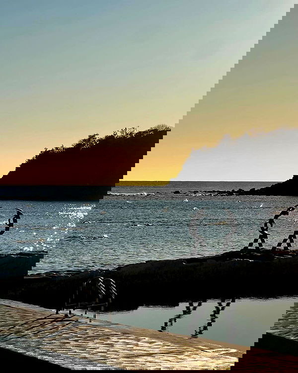 allygravemade image ~ Altpins