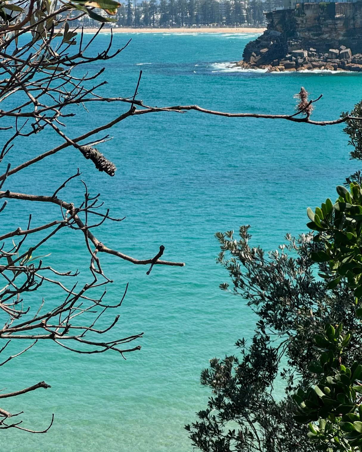 allygravemade instagram image archive image