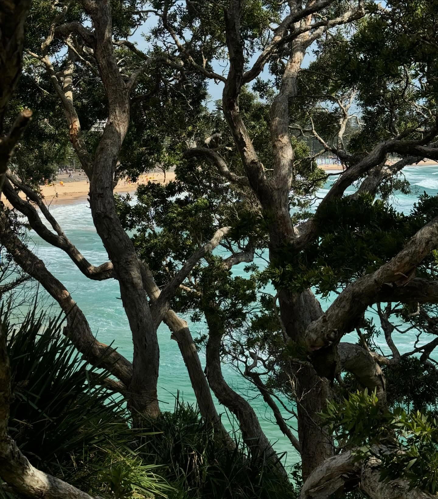 allygravemade instagram image archive image