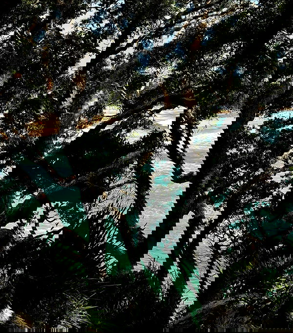 allygravemade image ~ Altpins