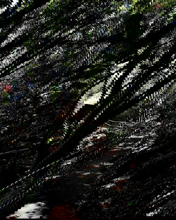 allygravemade image ~ Altpins