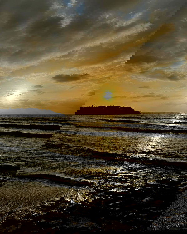 allygravemade image ~ Altpins