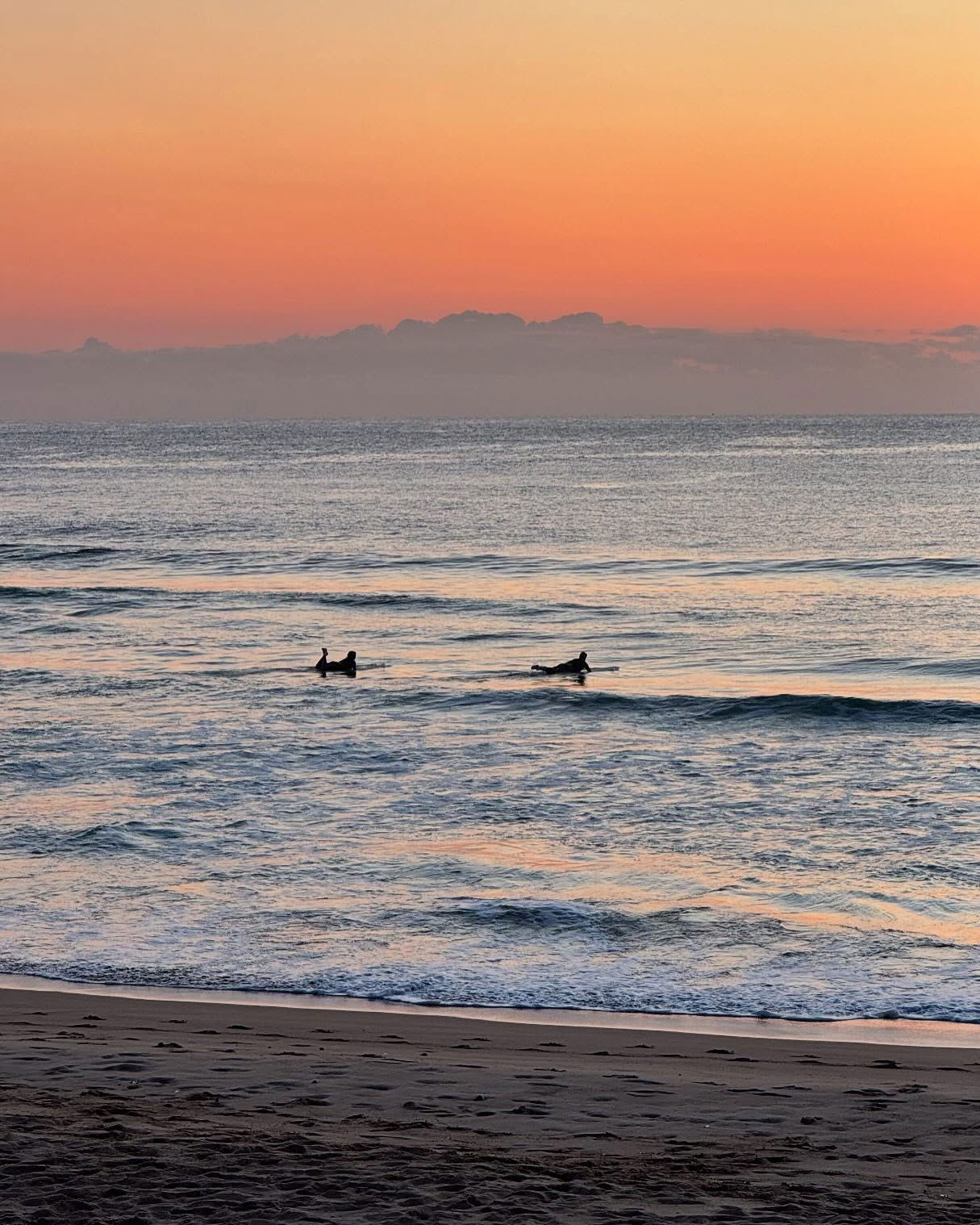 allygravemade instagram image archive image