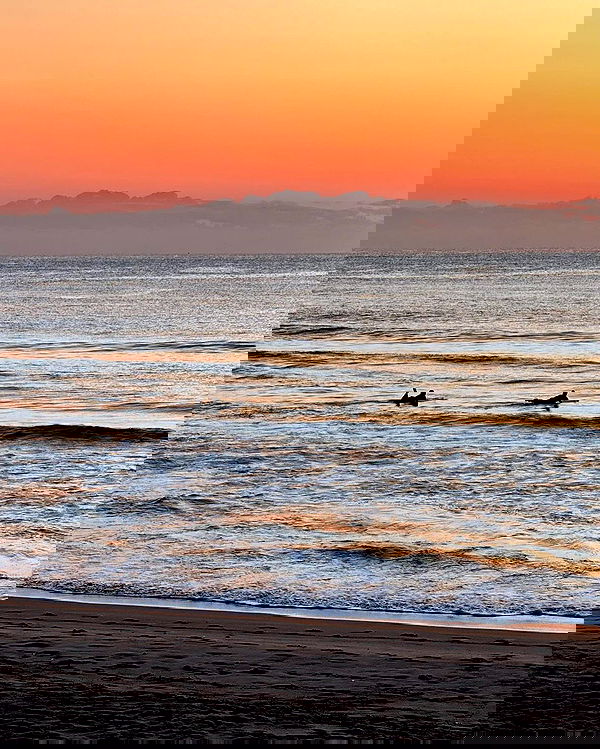 allygravemade image ~ Altpins