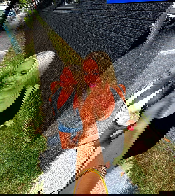 allygravemade image ~ Altpins