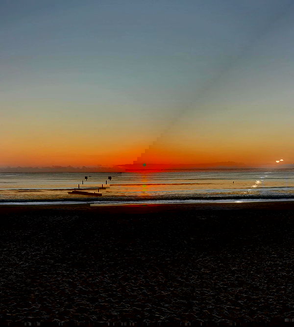 allygravemade image ~ Altpins