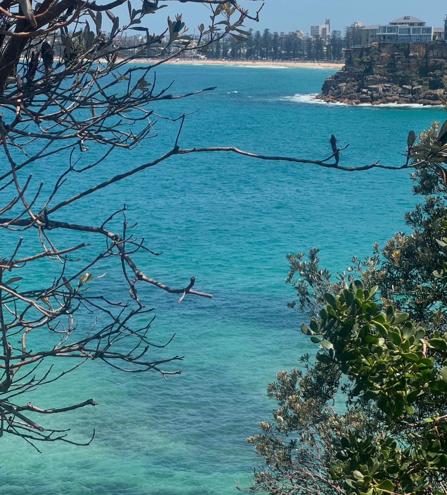 allygravemade instagram image archive image