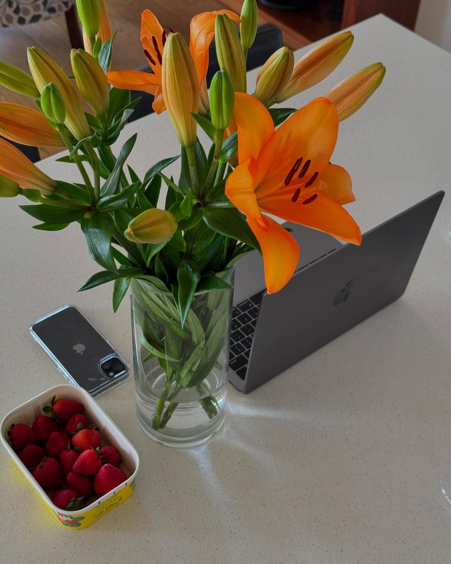 allygravemade instagram image archive image