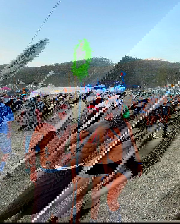 allygravemade image ~ Altpins