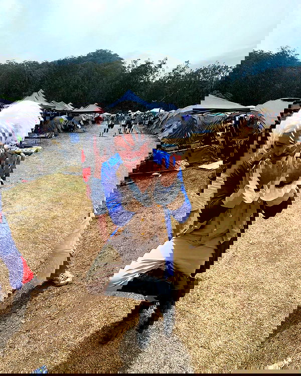 allygravemade image ~ Altpins