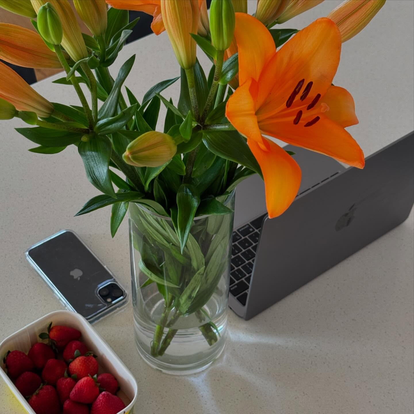 allygravemade instagram image archive image