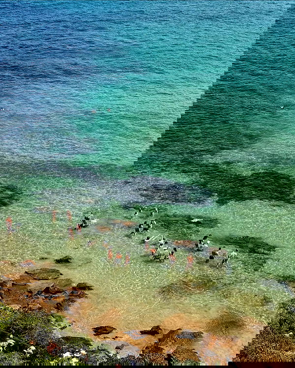 allygravemade image ~ Altpins