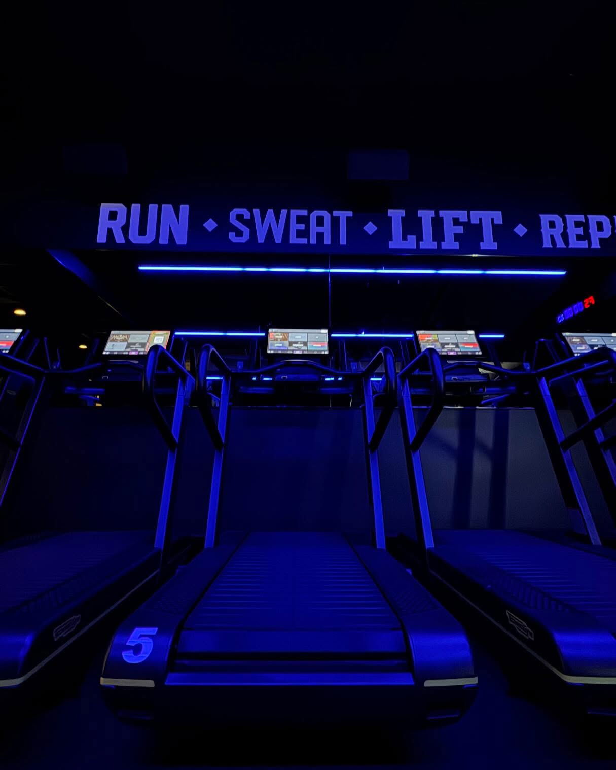 allygravemade instagram image archive image