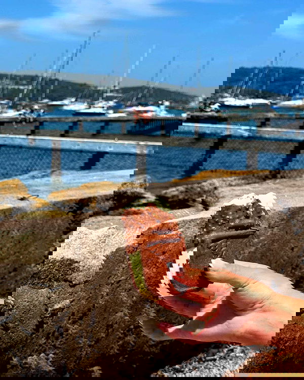 allygravemade image ~ Altpins