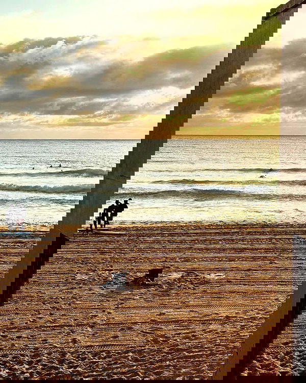 allygravemade image ~ Altpins