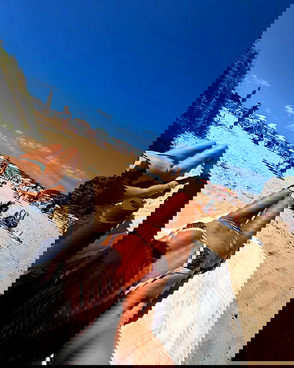 allygravemade image ~ Altpins