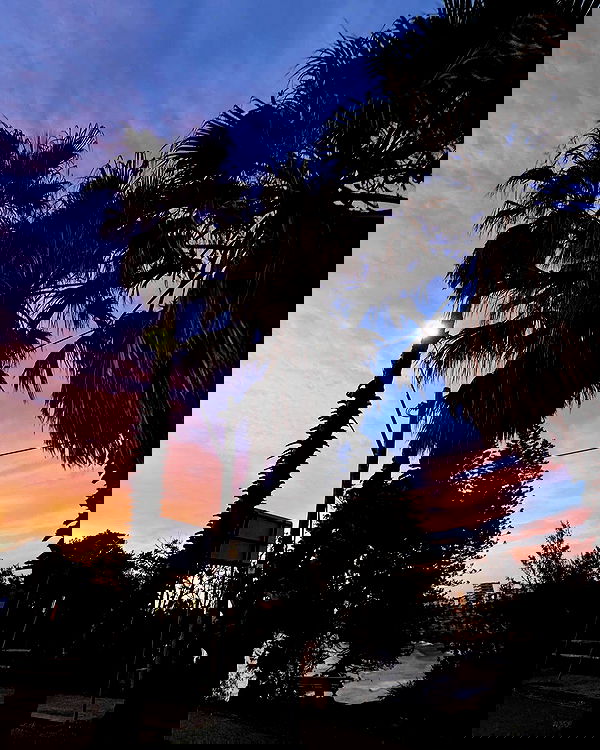 allygravemade image ~ Altpins