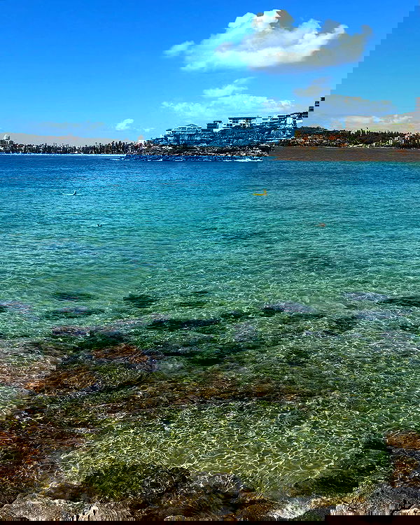 allygravemade image ~ Altpins