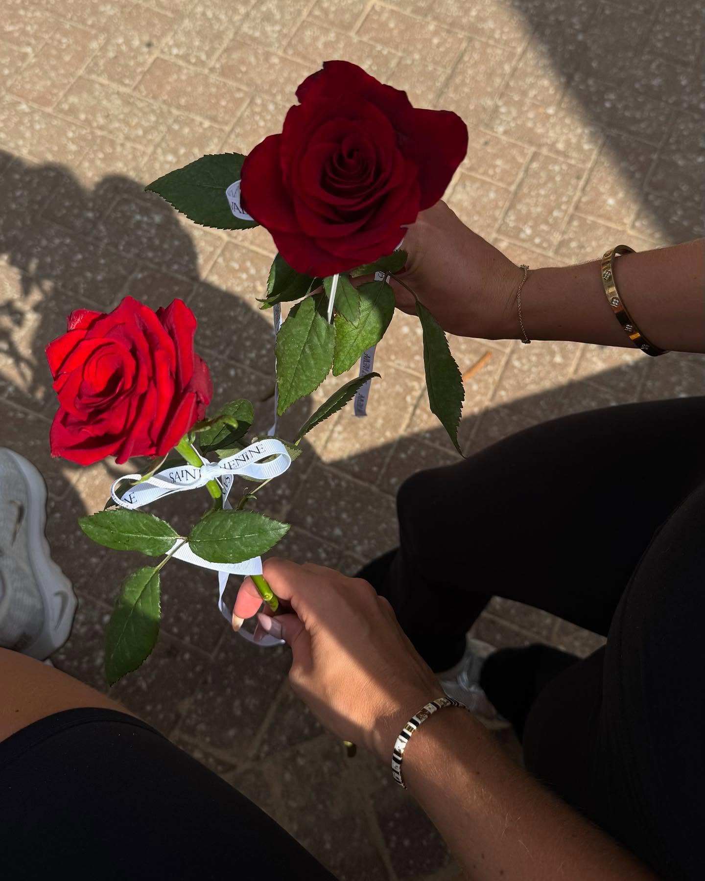 allygravemade instagram image archive image