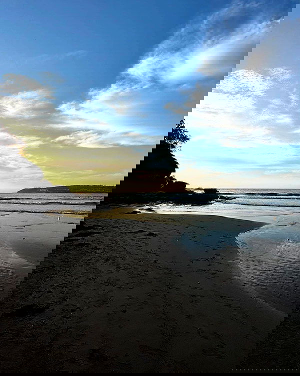 allygravemade image ~ Altpins