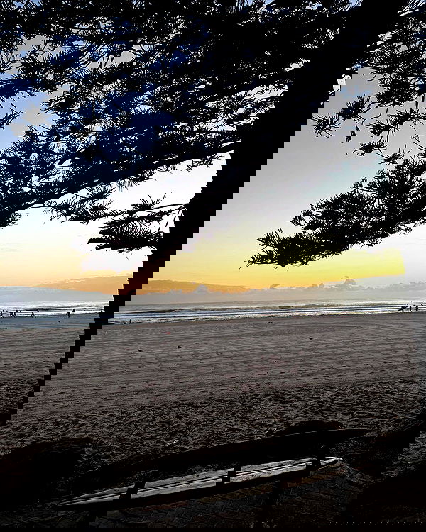 allygravemade image ~ Altpins