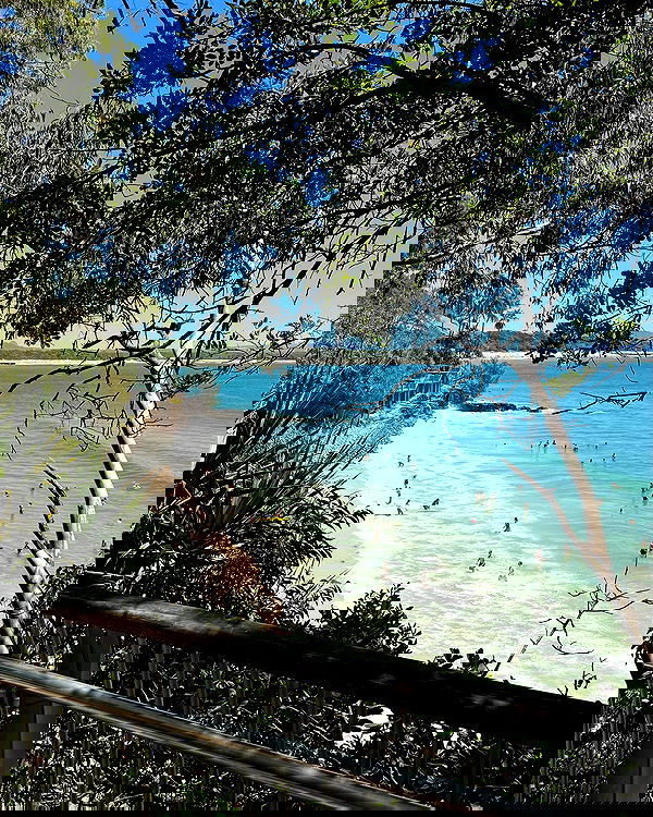 allygravemade image ~ Altpins