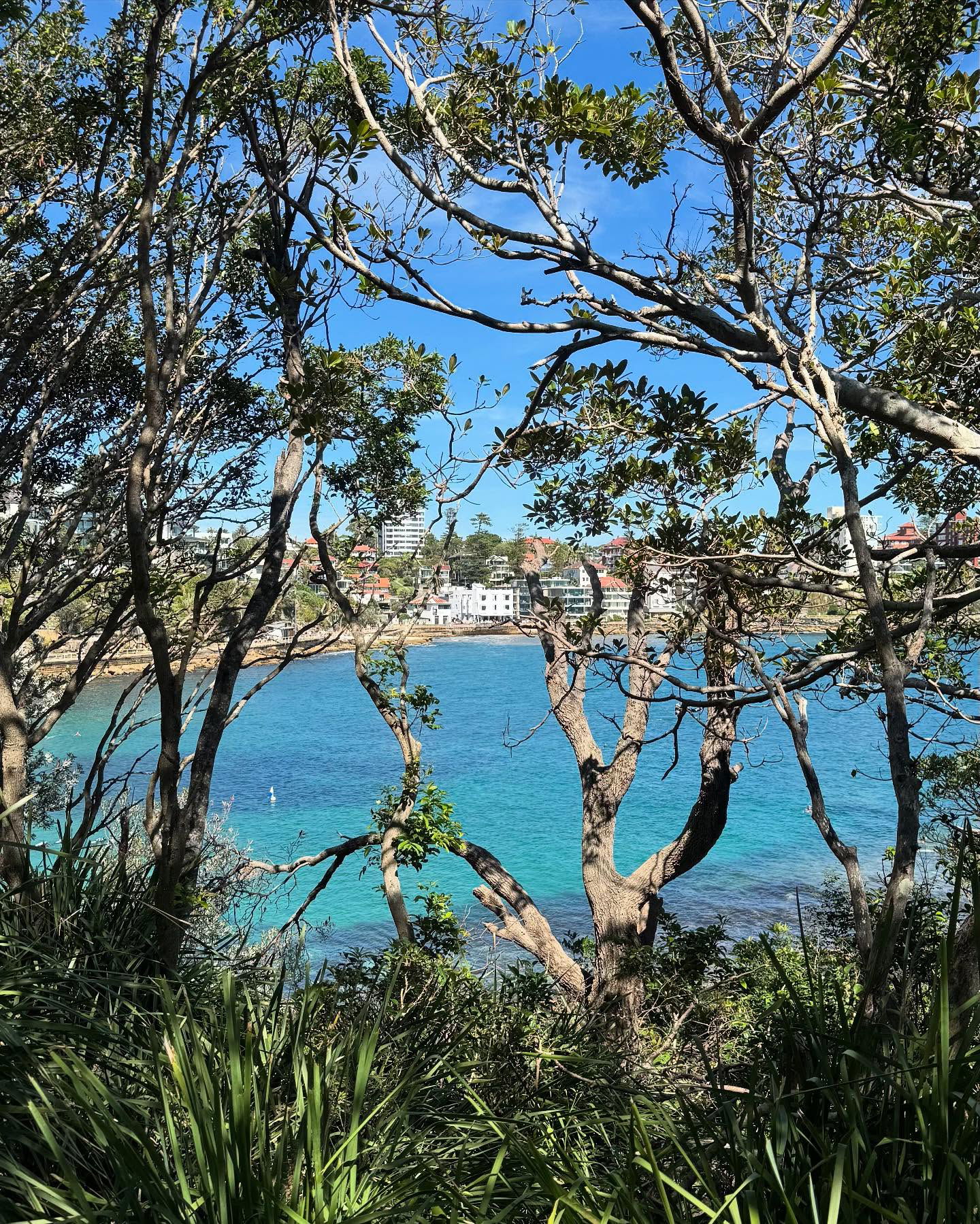 allygravemade instagram image archive image