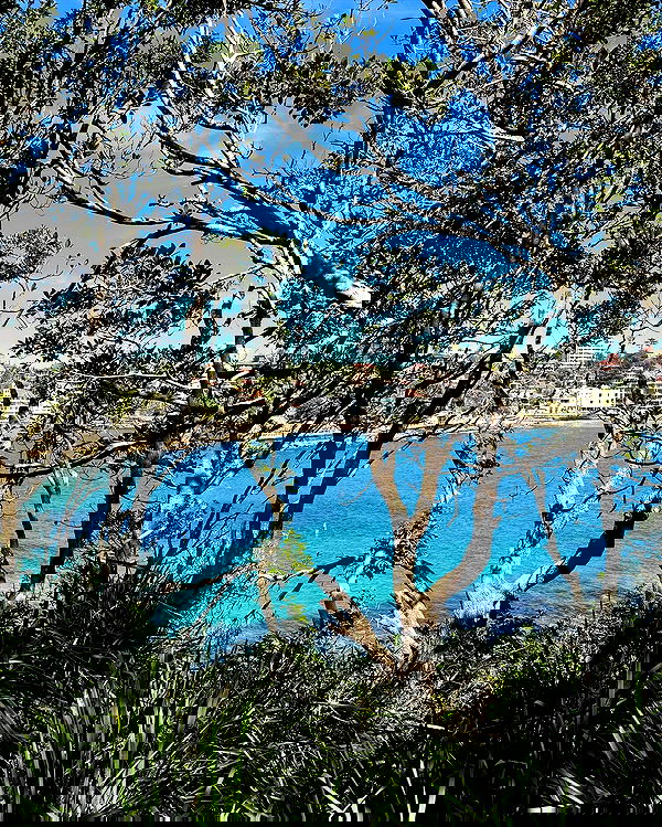 allygravemade image ~ Altpins