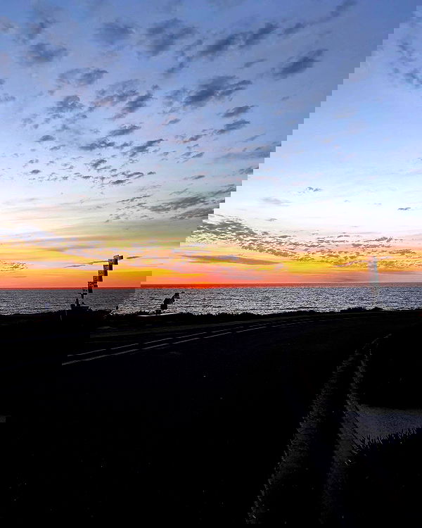 allygravemade image ~ Altpins