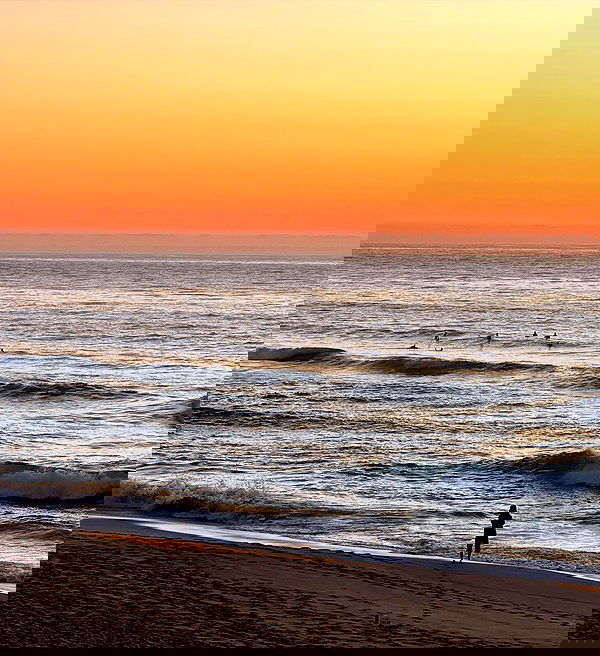 allygravemade image ~ Altpins